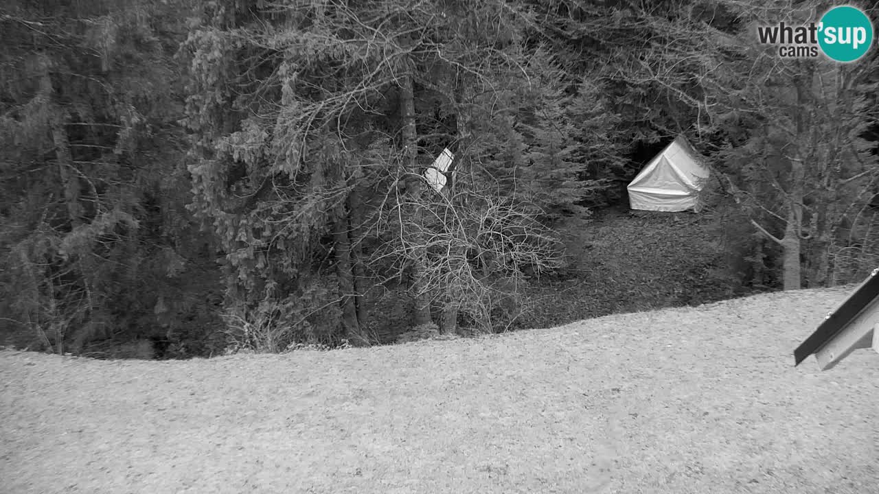 Webcam Lukanja – Water Village | Pohorje Houses