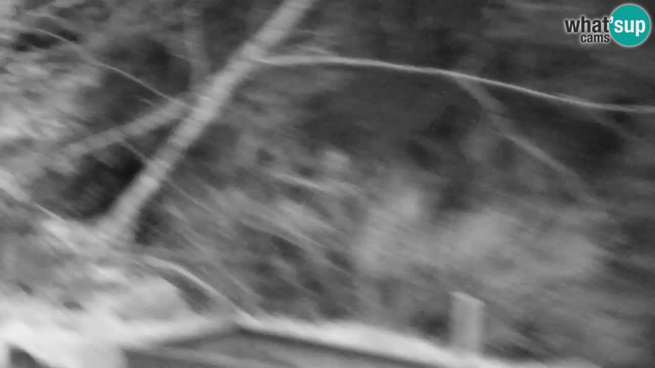 Webcam Lukanja – Pohorje houses a Water village