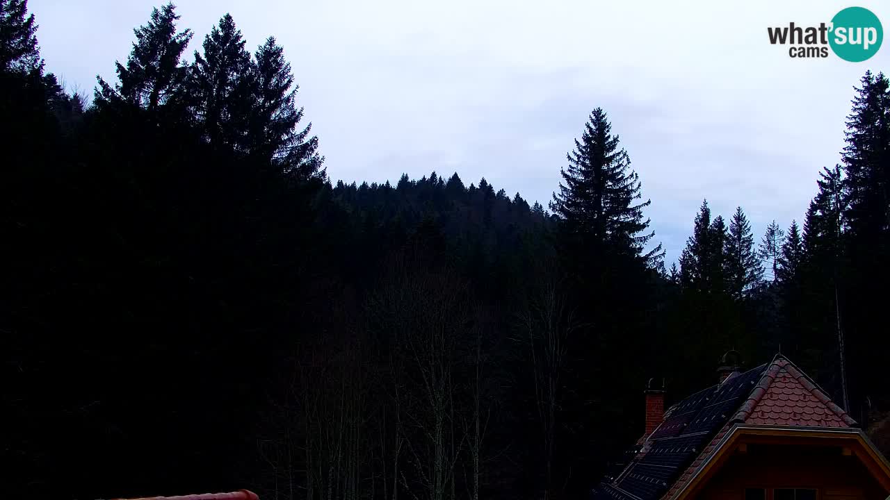 Spletna kamera Lukanja – Water Village | Pohorje Houses