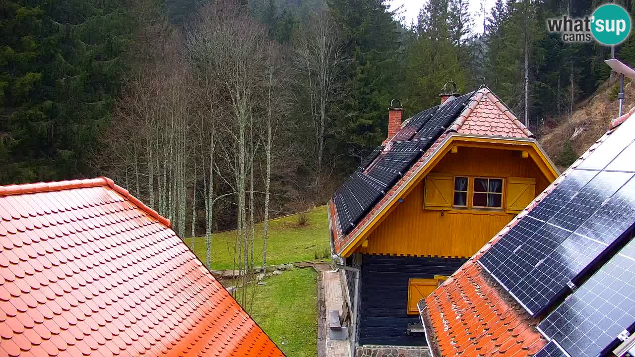 Webcam Lukanja – Pohorje houses a Water village