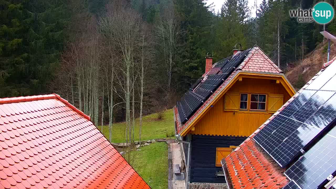 Webcam Lukanja – Pohorje houses a Water village