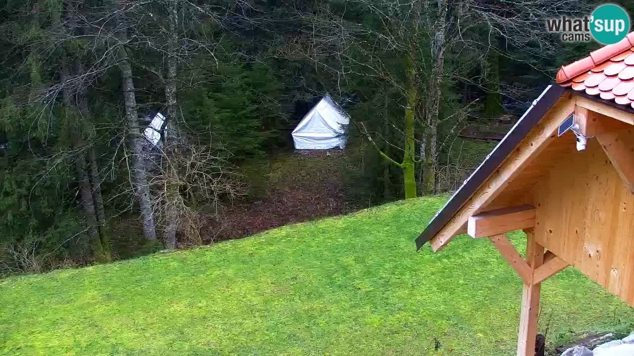 Webcam Lukanja – Water Village | Pohorje Houses