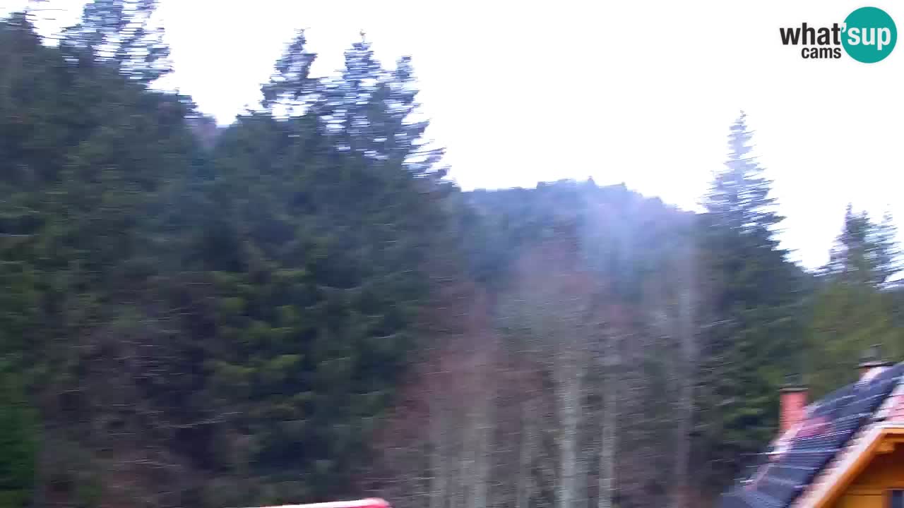 Webcam Lukanja – Water Village | Pohorje Houses