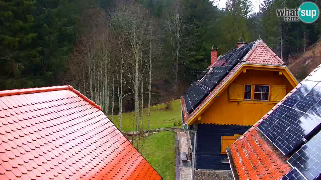 Webcam Lukanja – Pohorje houses a Water village