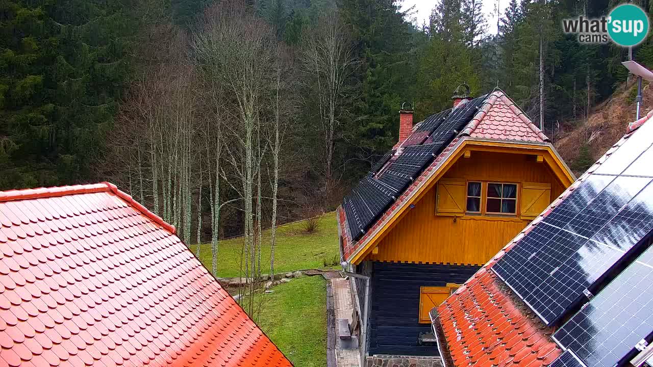 Webcam Lukanja – Pohorje houses a Water village