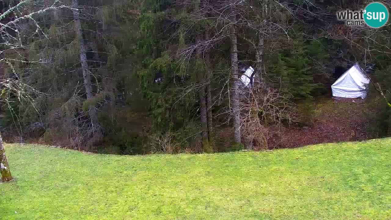 Webcam Lukanja – Pohorje houses a Water village