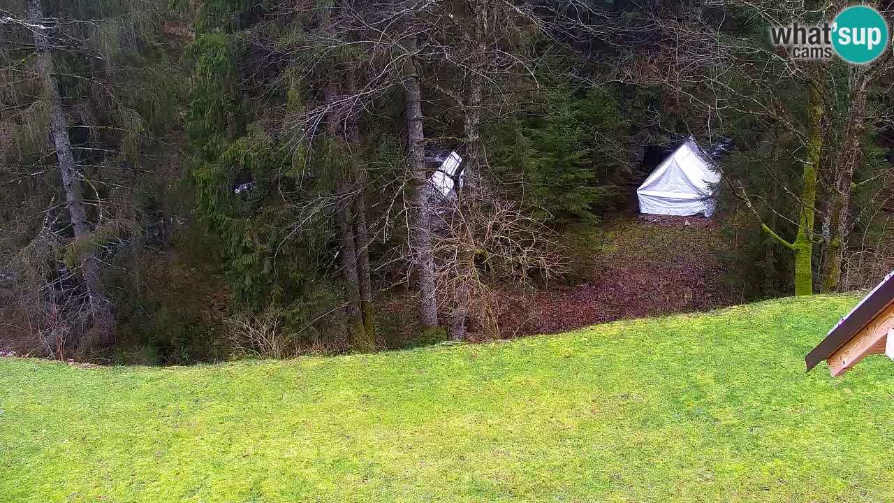 Webcam Lukanja – Water Village | Pohorje Houses