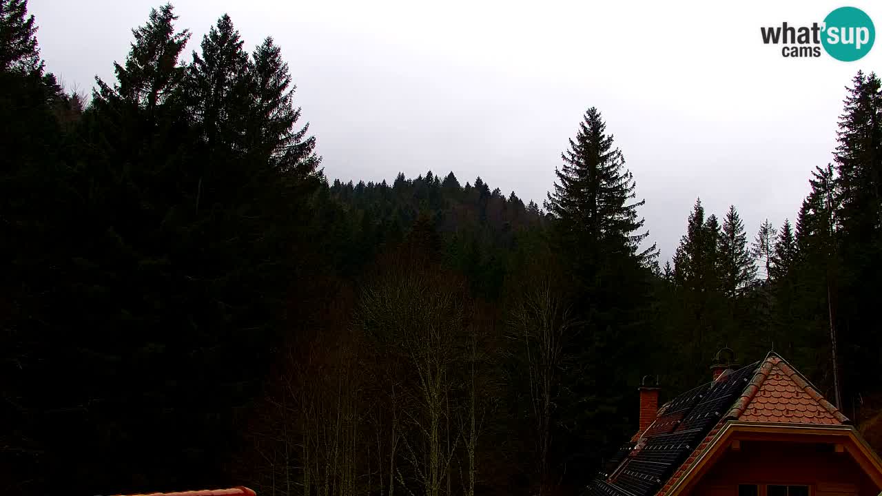 Webcam Lukanja – Water Village | Pohorje Houses