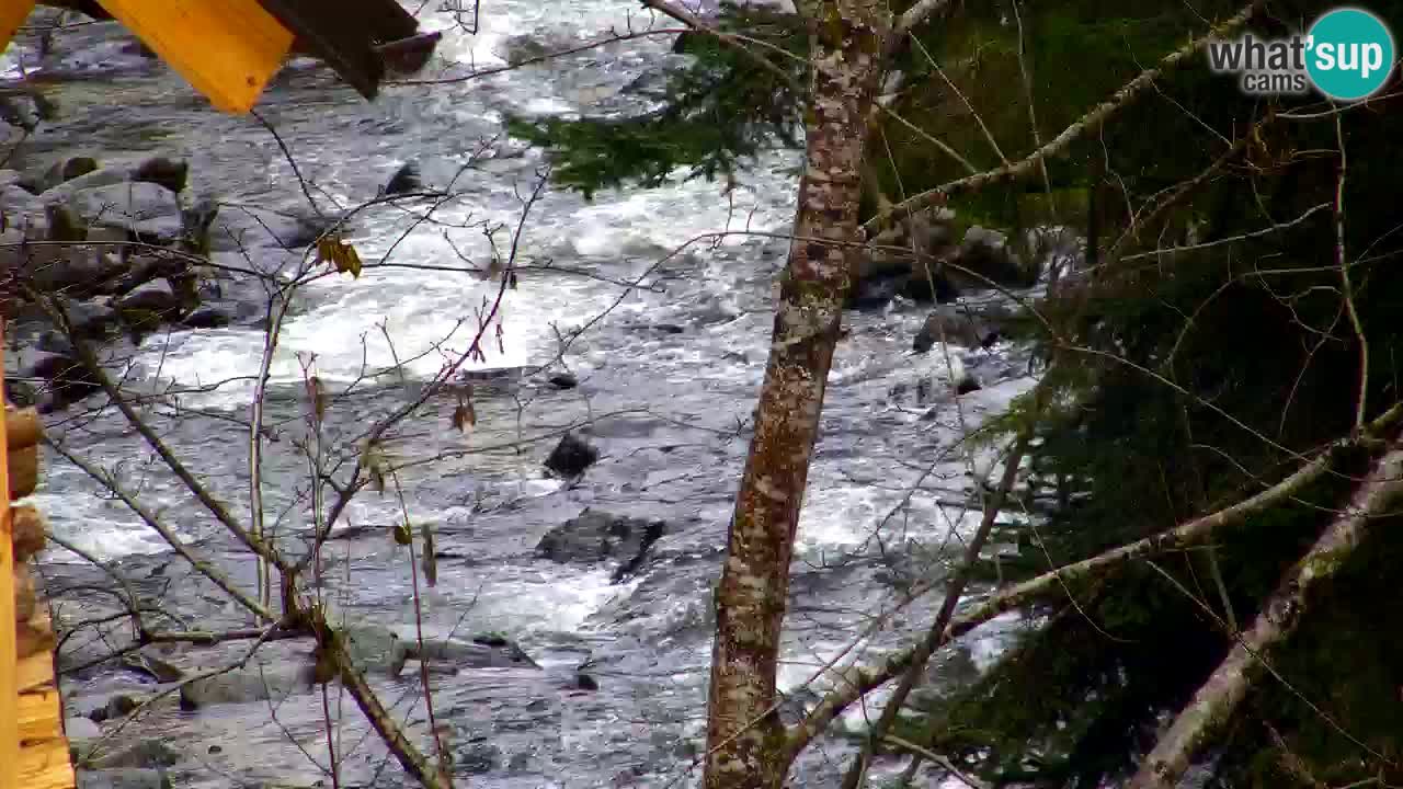 Webcam Lukanja – Pohorje houses a Water village