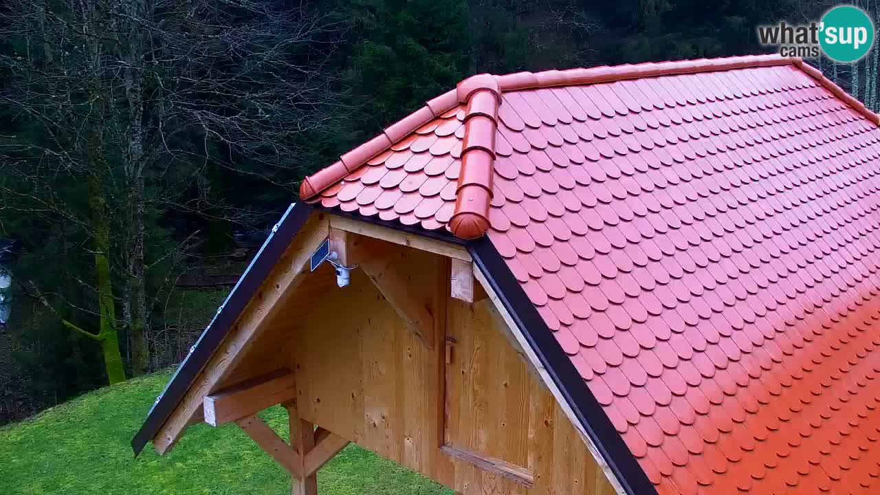 Spletna kamera Lukanja – Water Village | Pohorje Houses