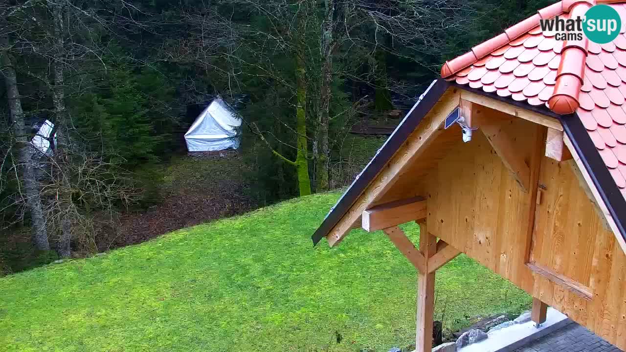 Web kamera Lukanja – Water Village | Pohorje Houses