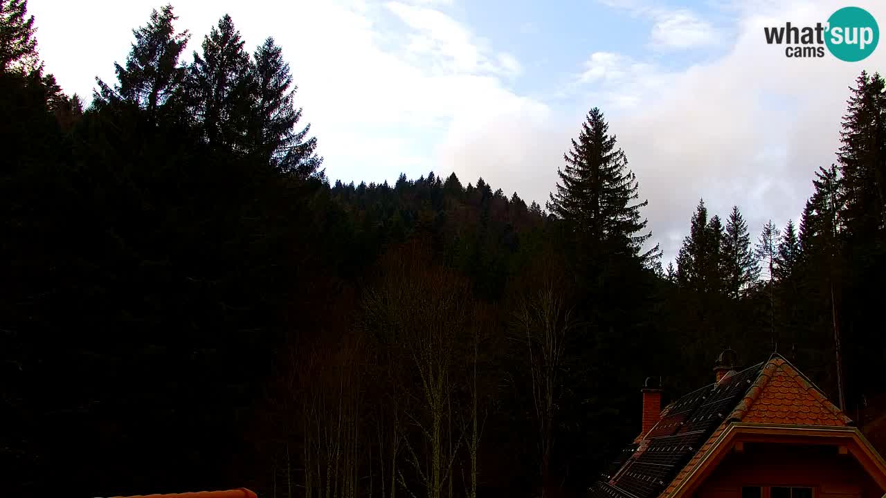 Webcam Lukanja – Pohorje houses a Water village