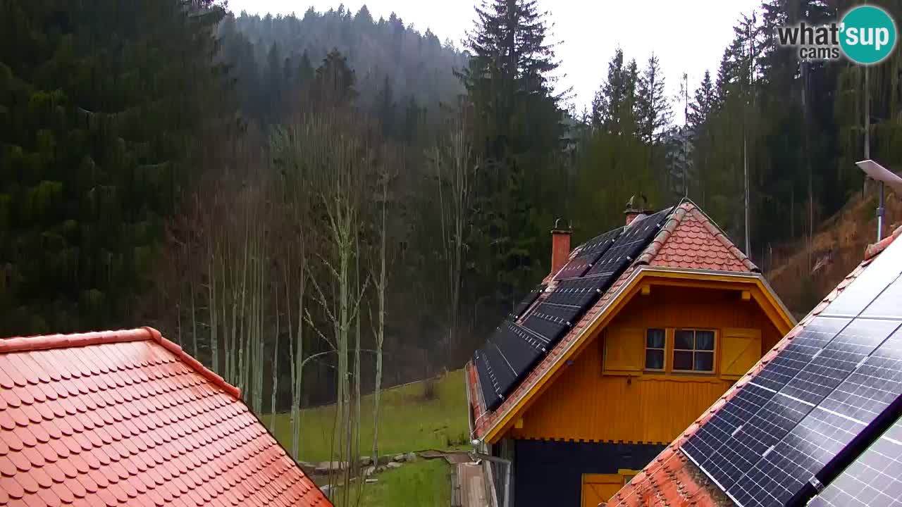 Spletna kamera Lukanja – Water Village | Pohorje Houses