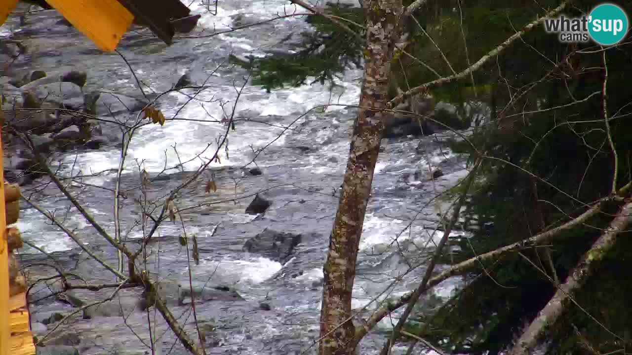 Webcam Lukanja – Pohorje houses a Water village