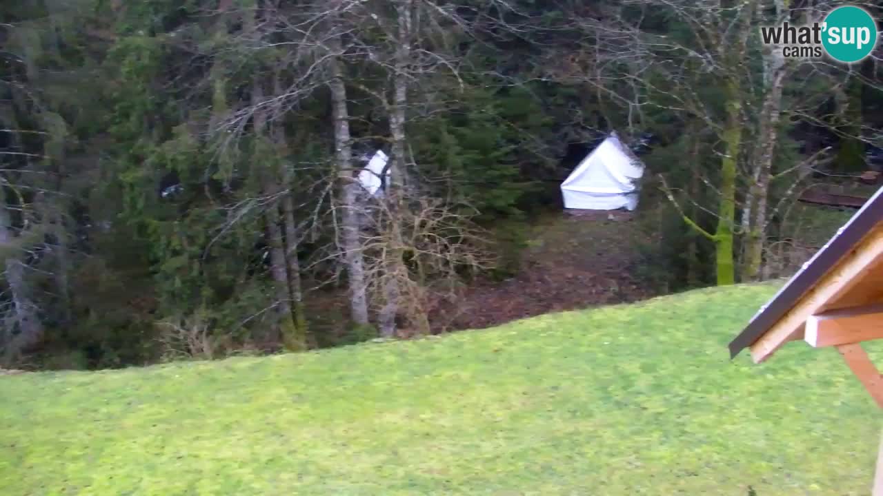 Spletna kamera Lukanja – Water Village | Pohorje Houses