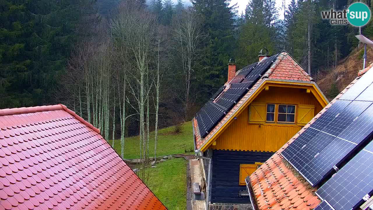 Webcam Lukanja – Pohorje houses a Water village