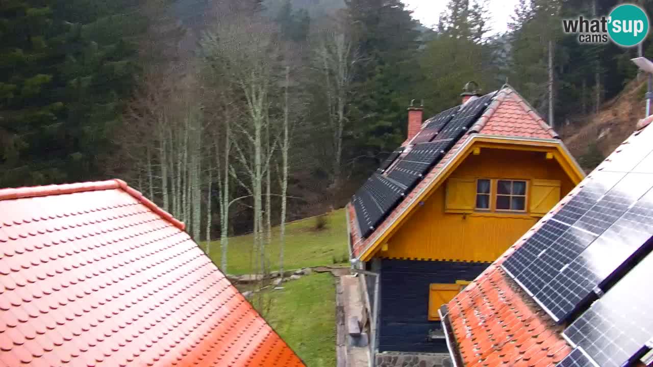 Spletna kamera Lukanja – Water Village | Pohorje Houses