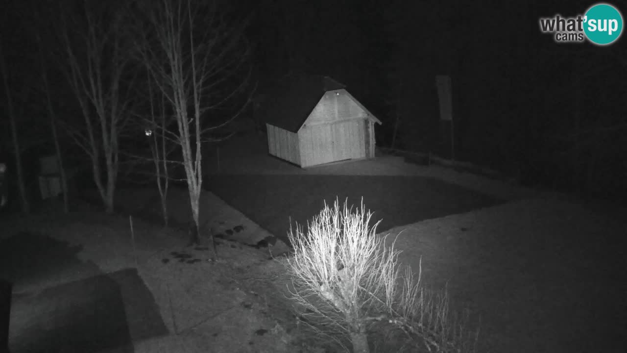 Webcam Lukanja – Water Village | Pohorje Houses