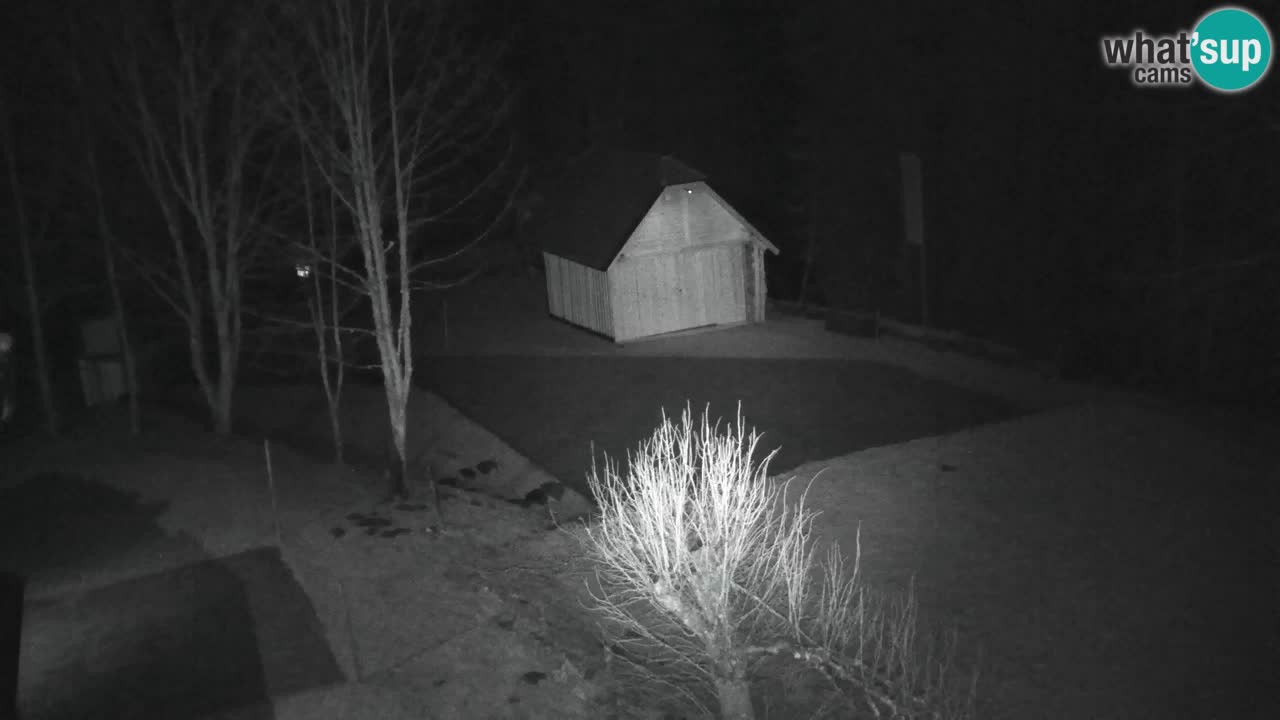 Webcam Lukanja – Pohorje houses a Water village