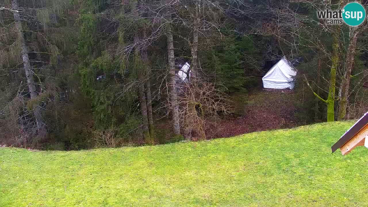 Webcam Lukanja – Water Village | Pohorje Houses