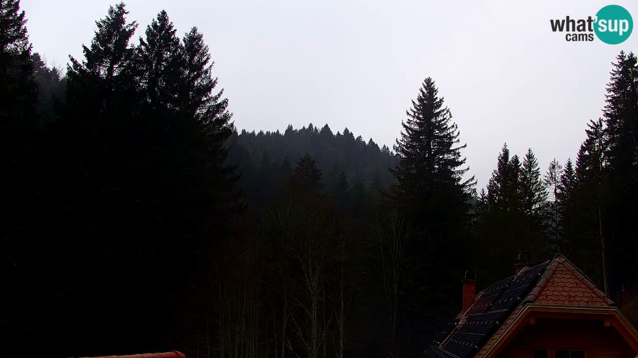 Web kamera Lukanja – Water Village | Pohorje Houses