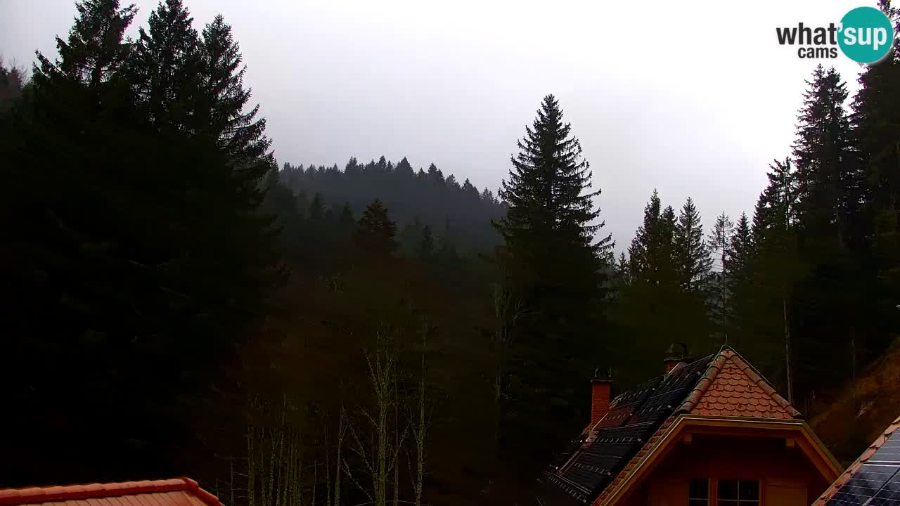 Webcam Lukanja – Pohorje houses a Water village