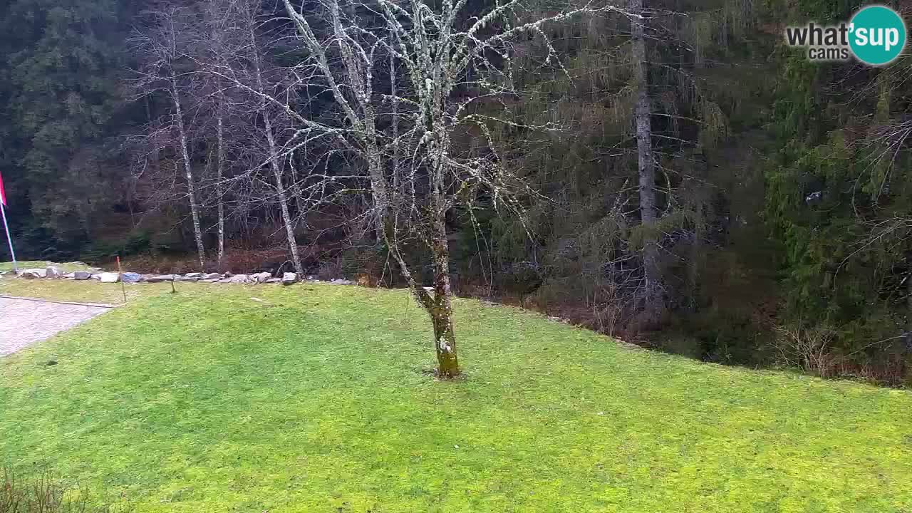 Webcam Lukanja – Pohorje houses a Water village