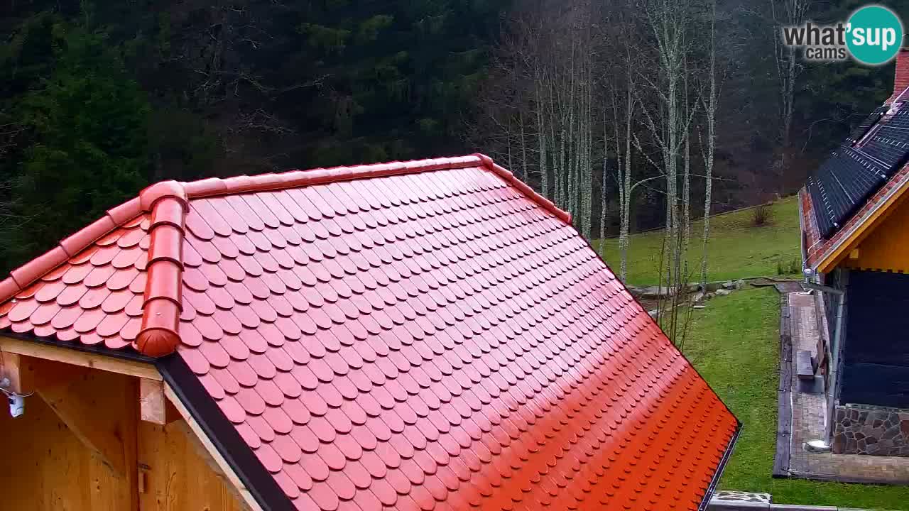 Spletna kamera Lukanja – Water Village | Pohorje Houses