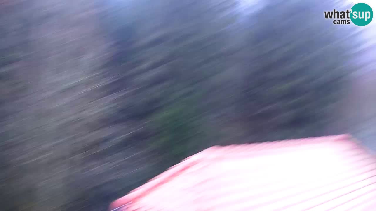 Spletna kamera Lukanja – Water Village | Pohorje Houses