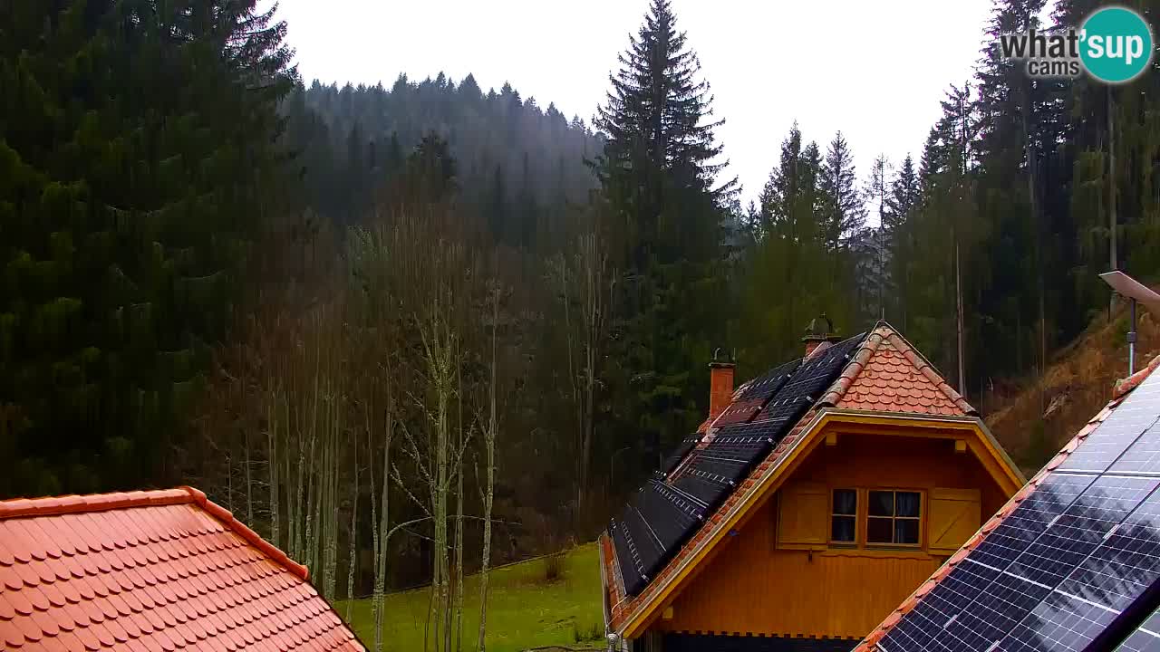 Web kamera Lukanja – Water Village | Pohorje Houses