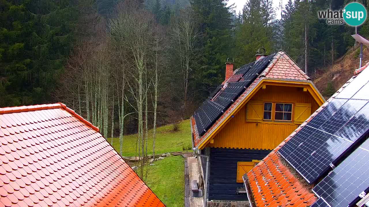 Web kamera Lukanja – Water Village | Pohorje Houses