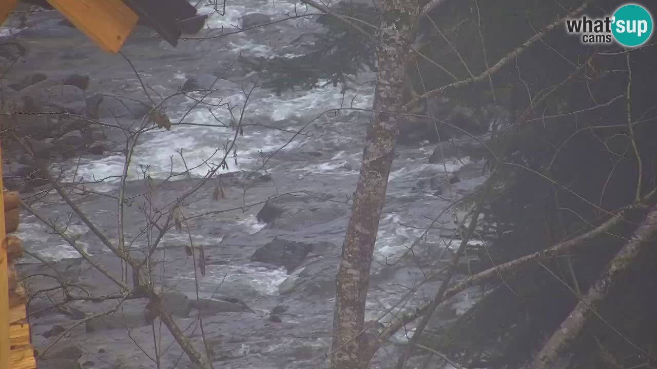 Webcam Lukanja – Water Village | Pohorje Houses