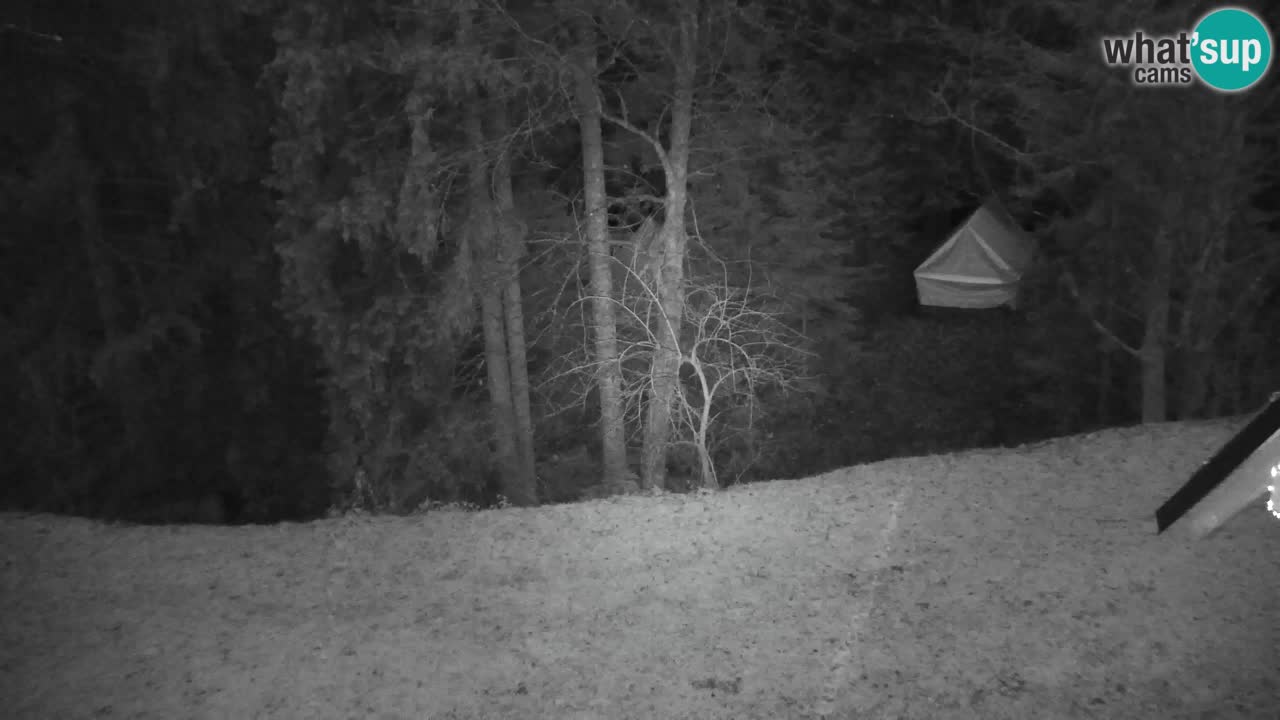 Webcam Lukanja – Water Village | Pohorje Houses