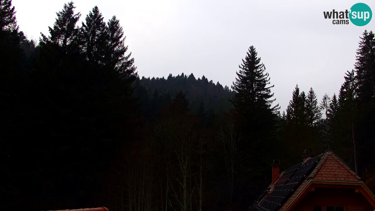 Webcam Lukanja – Pohorje houses a Water village