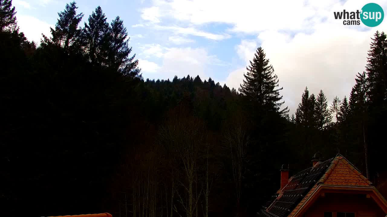 Webcam Lukanja – Pohorje houses a Water village