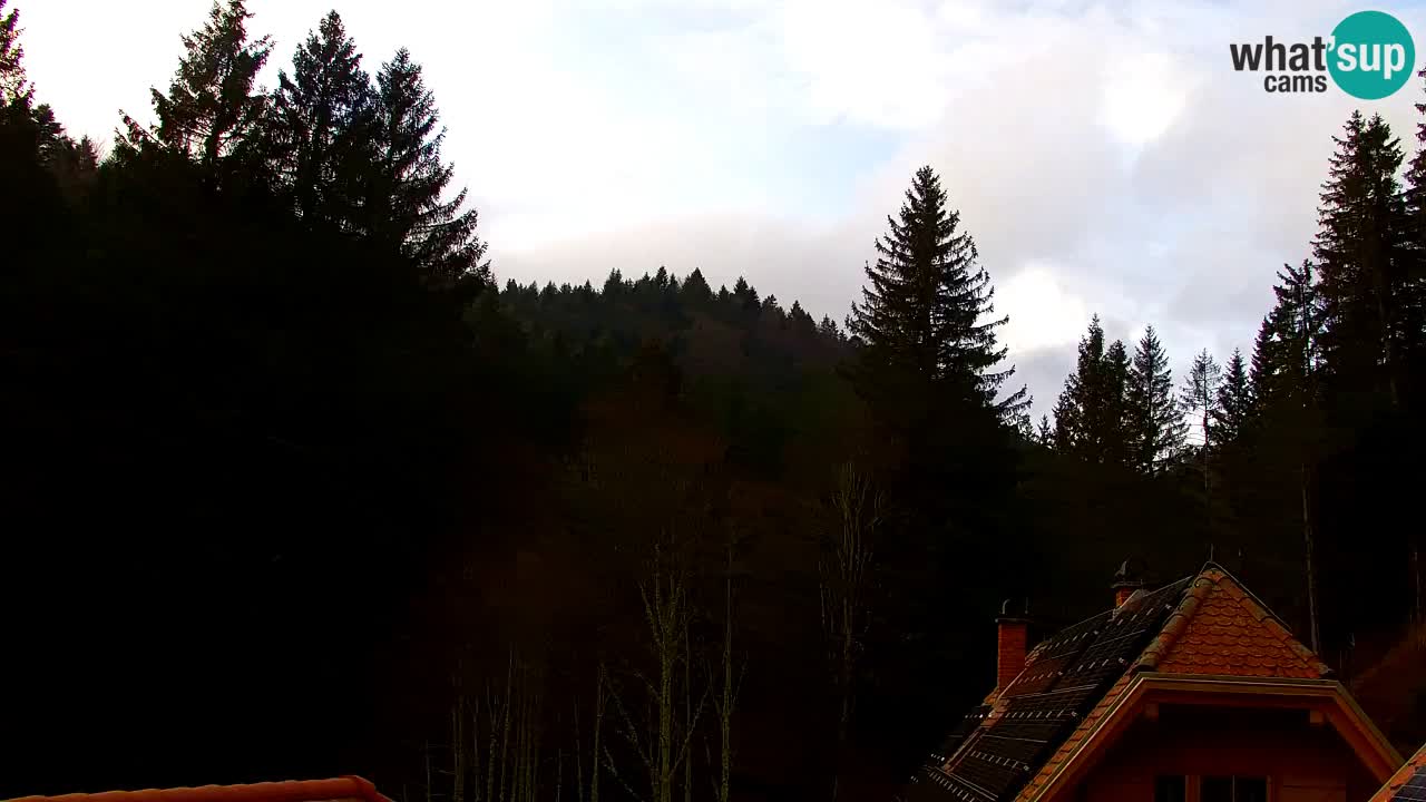 Webcam Lukanja – Water Village | Pohorje Houses