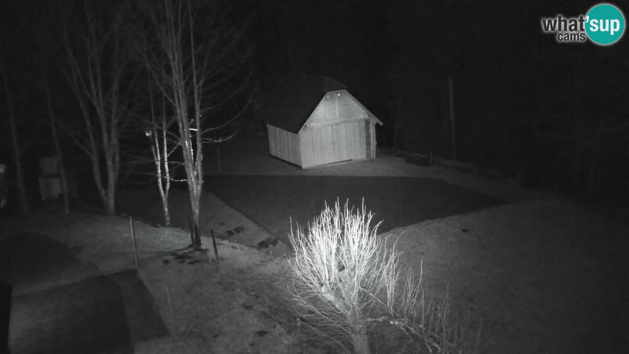 Webcam Lukanja – Water Village | Pohorje Houses