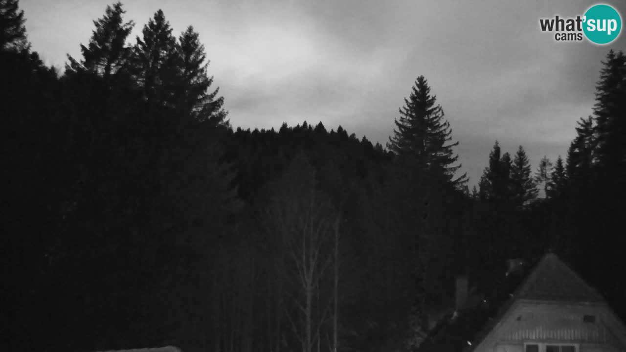 Webcam Lukanja – Water Village | Pohorje Houses