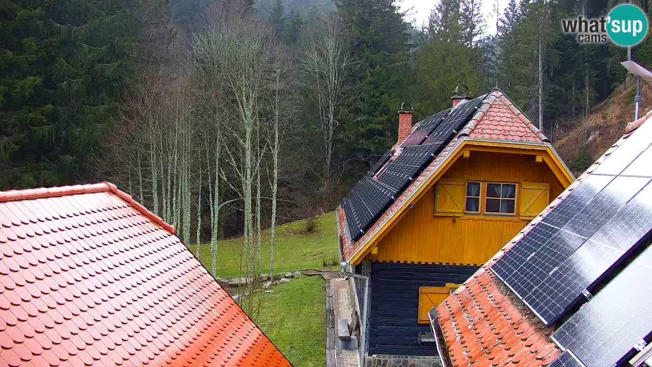 Spletna kamera Lukanja – Water Village | Pohorje Houses