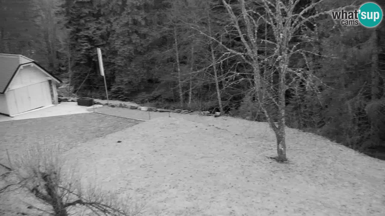 Webcam Lukanja – Water Village | Pohorje Houses