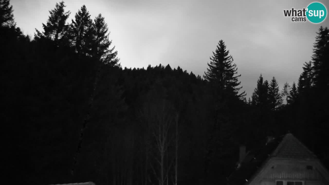 Webcam Lukanja – Water Village | Pohorje Houses