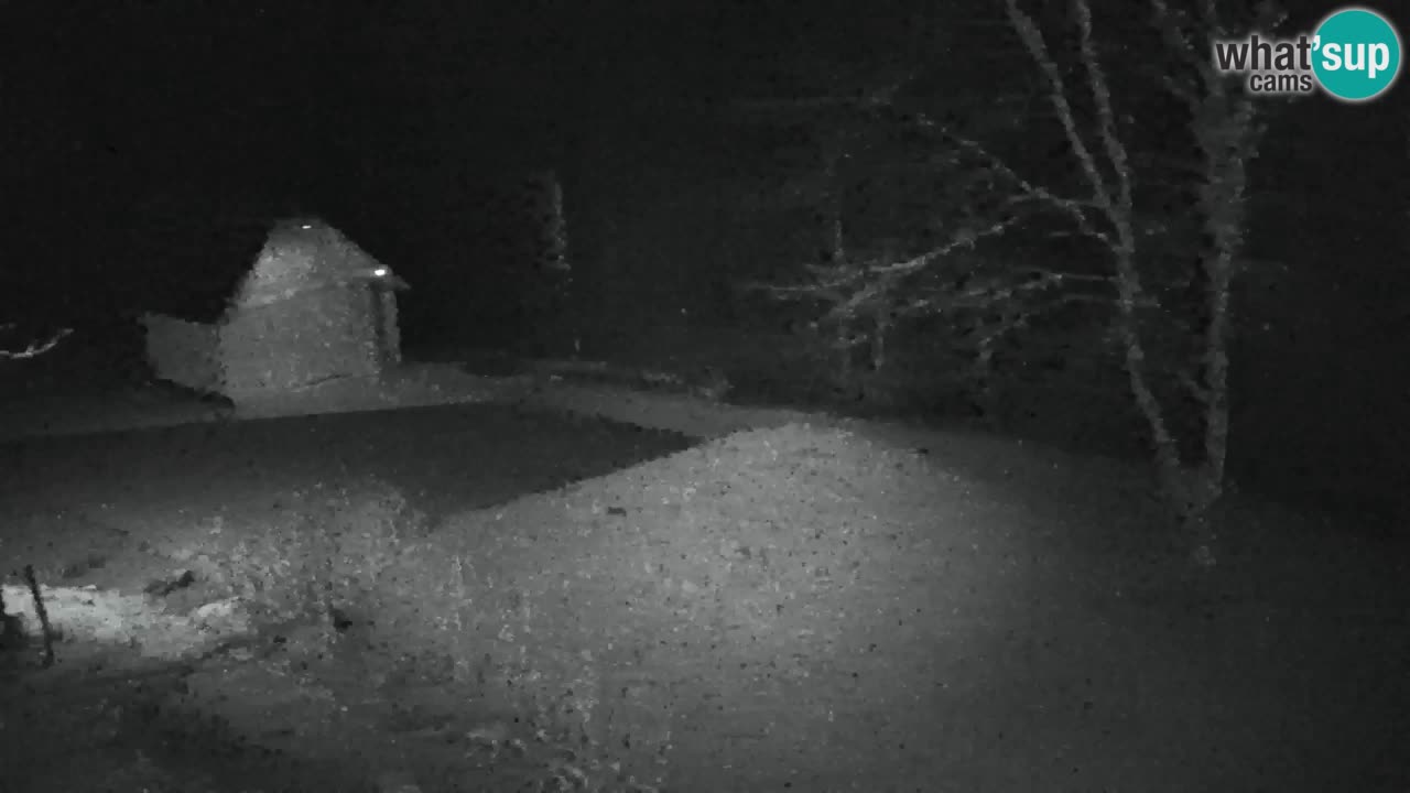 Webcam Lukanja – Water Village | Pohorje Houses