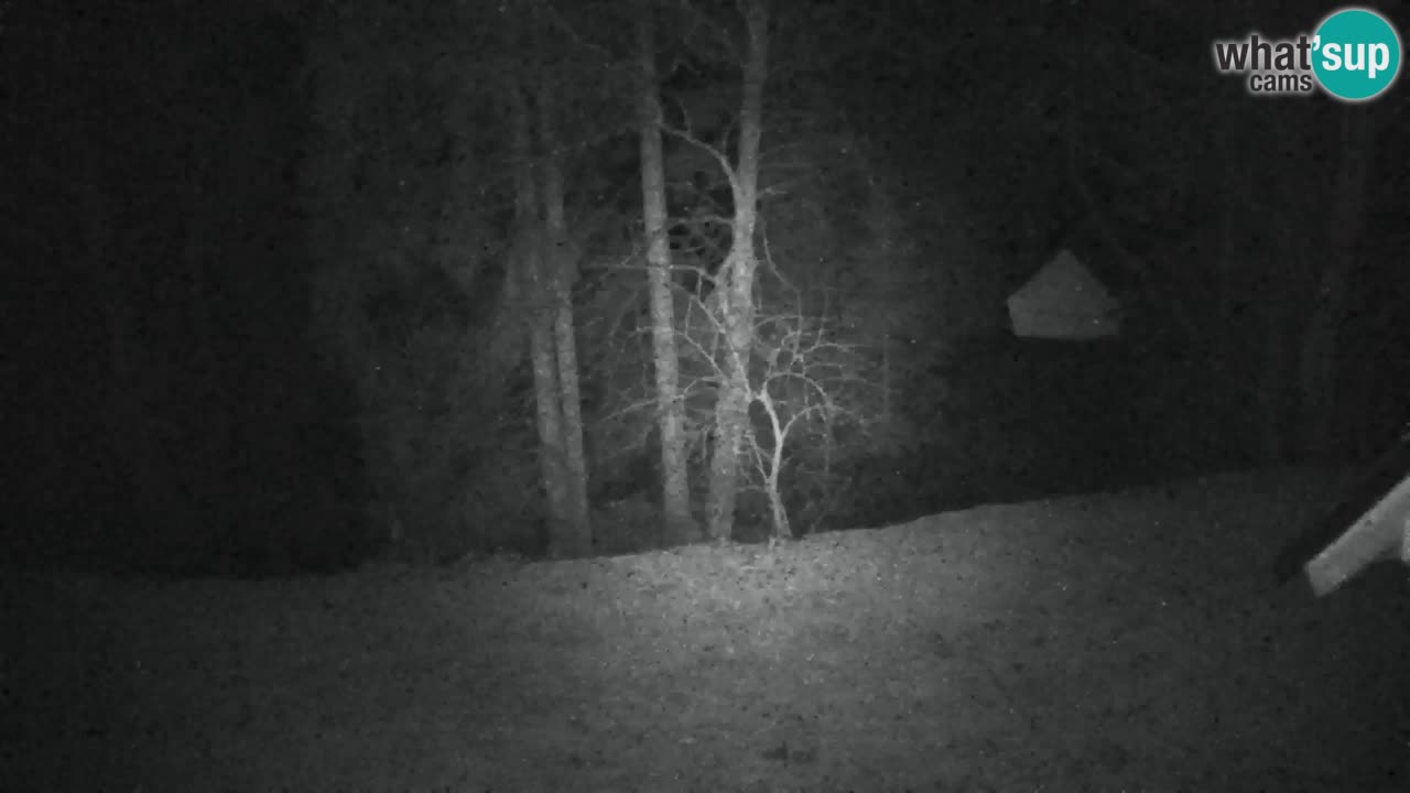 Webcam Lukanja – Pohorje houses a Water village