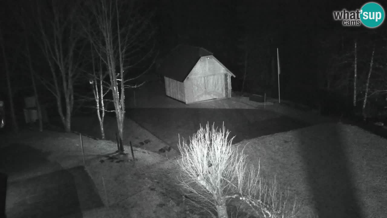 Web kamera Lukanja – Water Village | Pohorje Houses