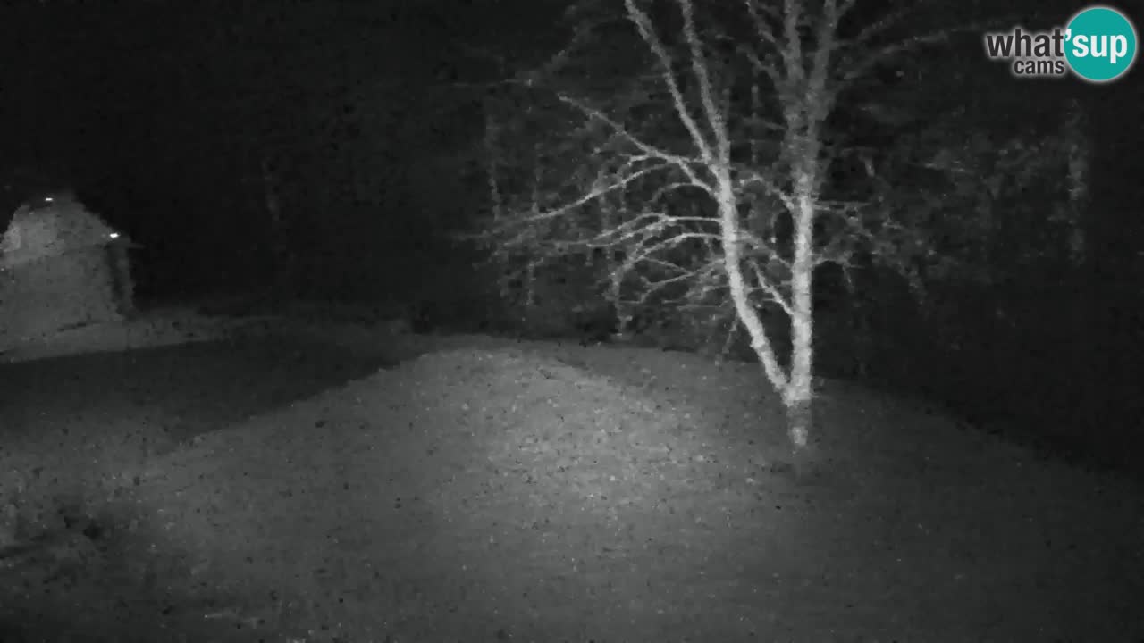 Webcam Lukanja – Water Village | Pohorje Houses