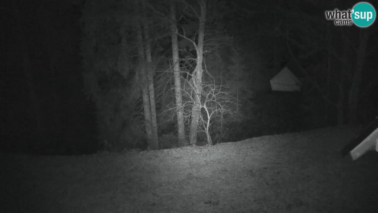 Webcam Lukanja – Pohorje houses a Water village