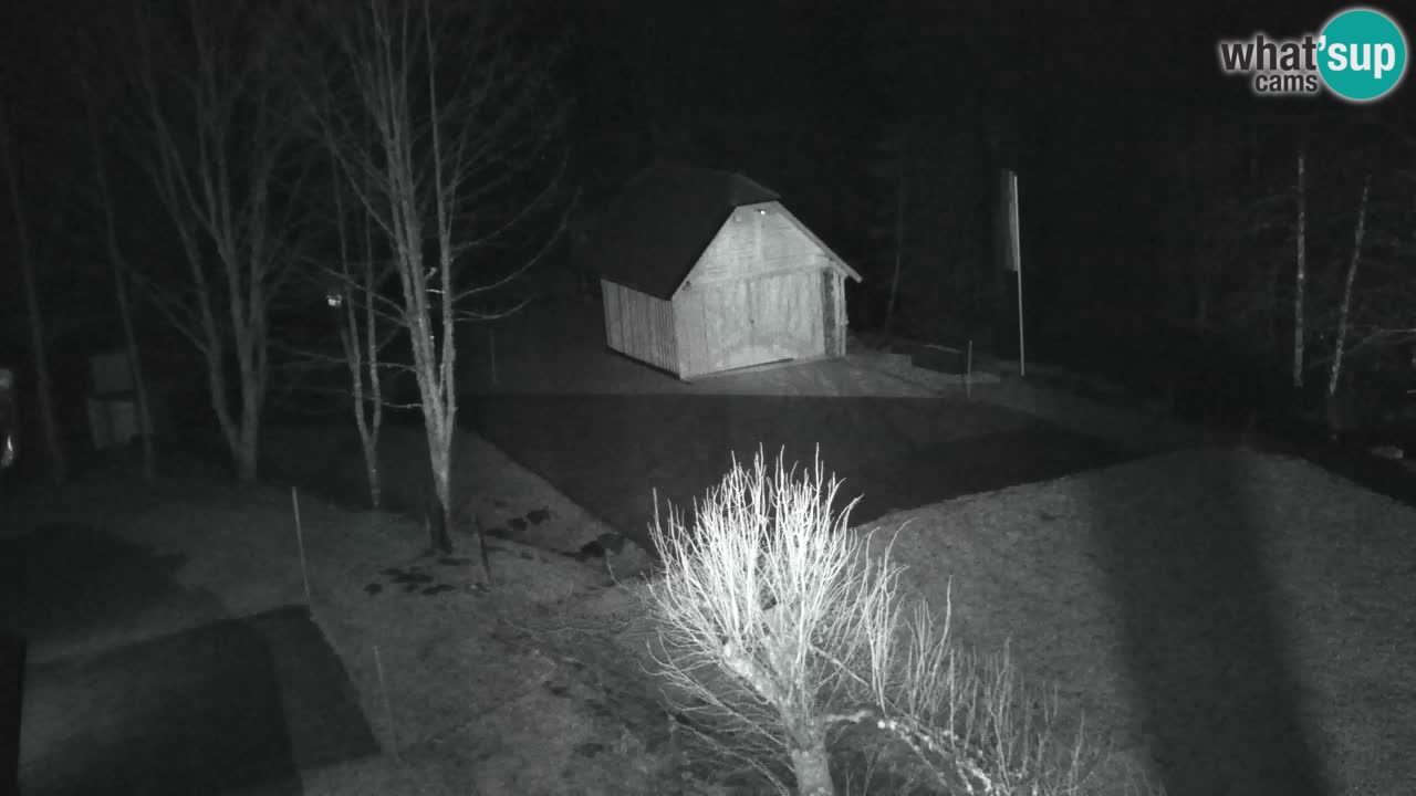 Webcam Lukanja – Water Village | Pohorje Houses