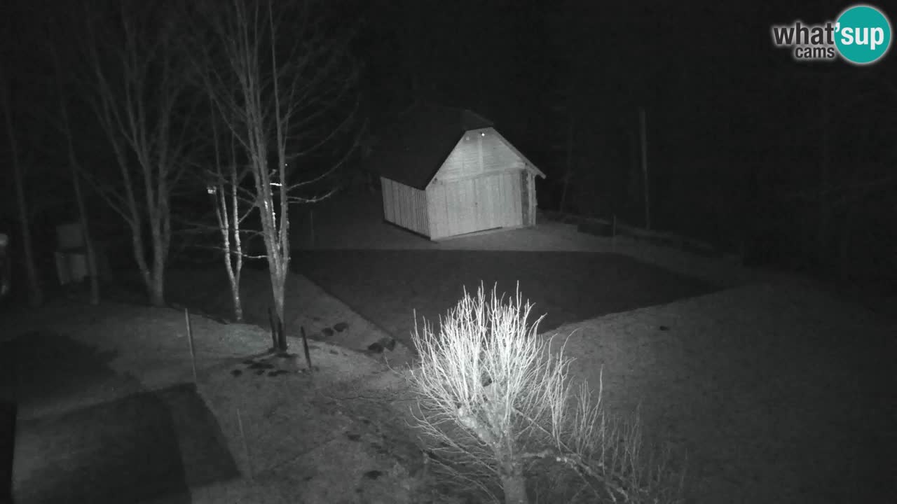 Webcam Lukanja – Water Village | Pohorje Houses