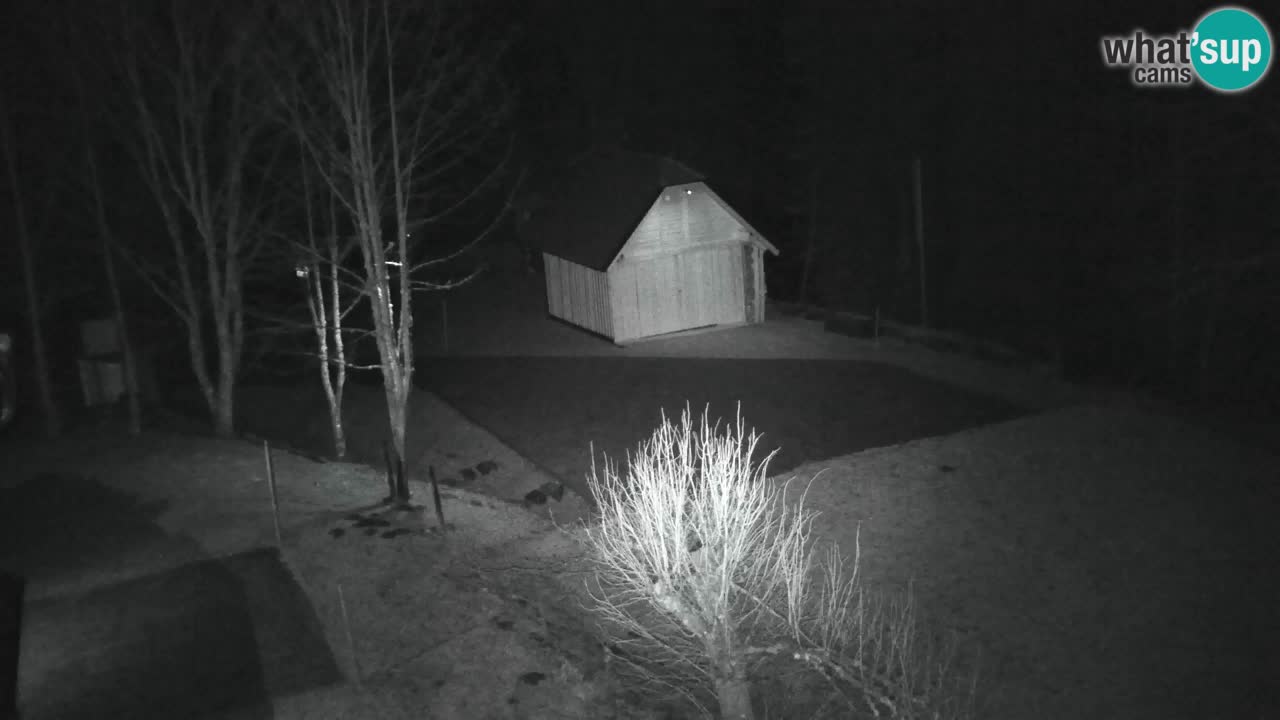 Webcam Lukanja – Water Village | Pohorje Houses