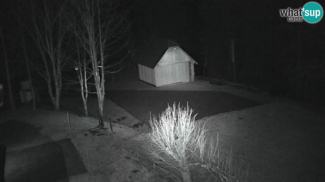 Webcam Lukanja – Pohorje houses a Water village